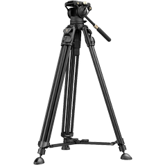 800q-01_133458.png