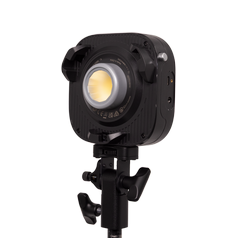 amaranHalo100x_Clean_0008_x1000