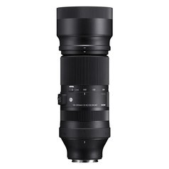 SIGMA 100-400MM F5-6.3 DG DN OS | Contemporary